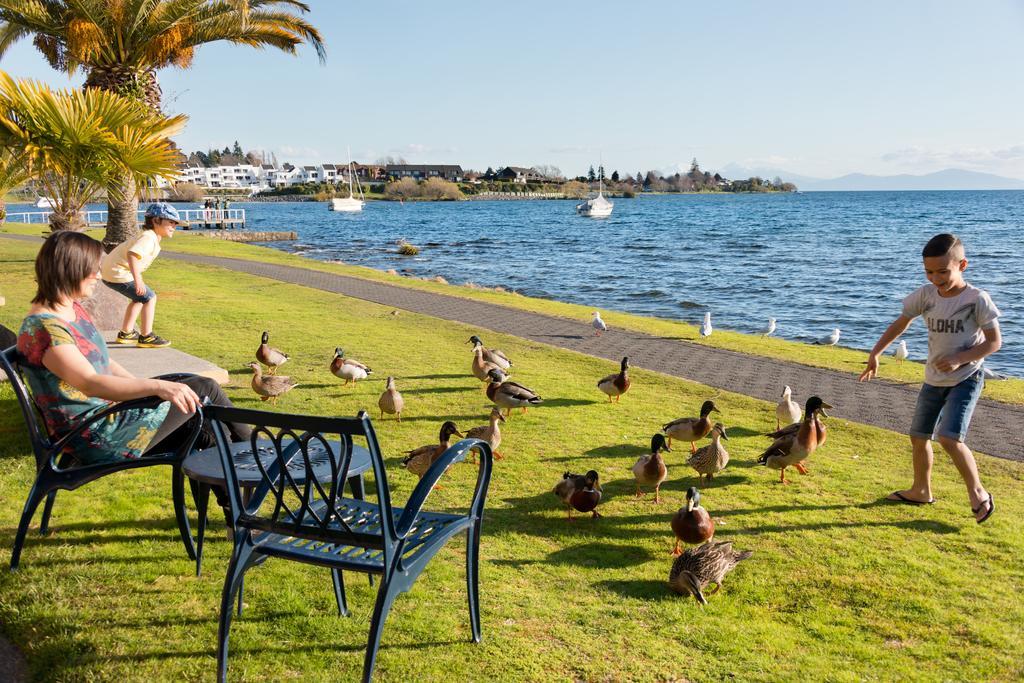 Oasis Beach Motel Taupo Exteriér fotografie